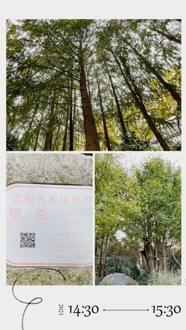 曲阳公园旅行图片 4