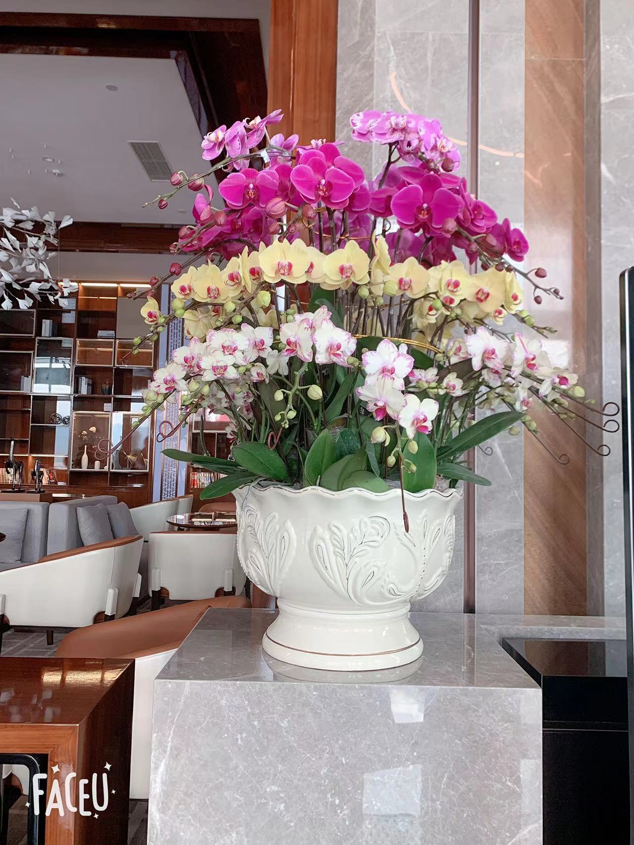 Wyndham Xinyi Lotus Lake Hotel-官方