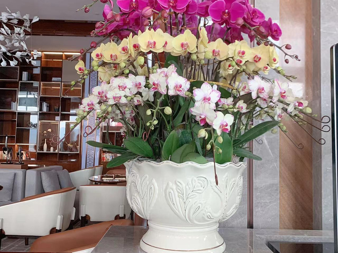 信宜市酒店住宿-Wyndham Xinyi Lotus Lake Hotel