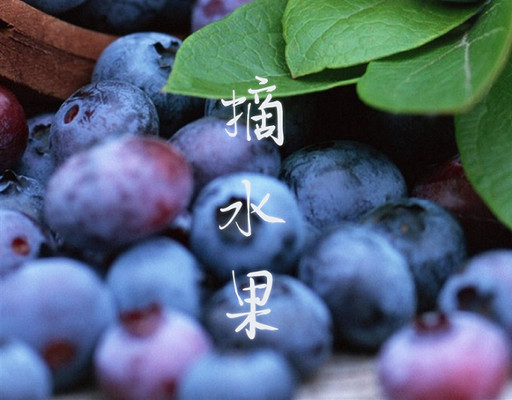 万家欢蓝莓庄园——享受现采水果🍊与户外烧烤🥩的无尽乐趣