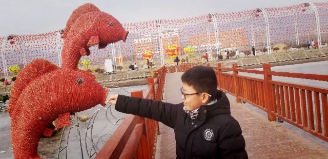 太原康培稻田公园旅行图片 2