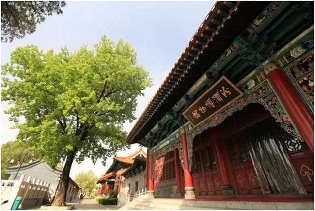 汾酒文化景区旅行图片 1