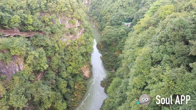 洒金公园旅行图片 1