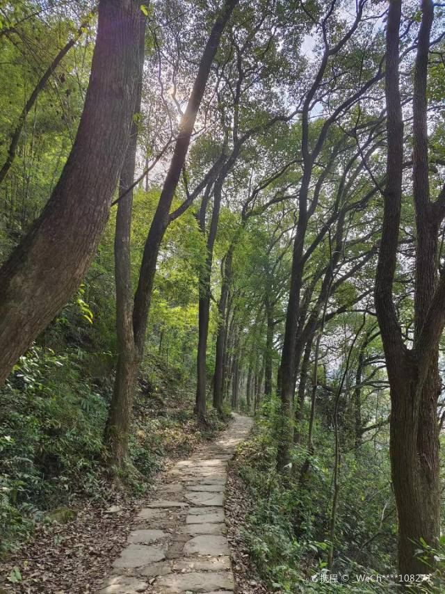 重庆张飞古道游玩攻略-张飞古道门票多少钱/价格表-团购票价预定优惠-景点地址在哪里/图片介绍/参观预约/旅游游览顺序攻略及注意事项/营业时间 ...