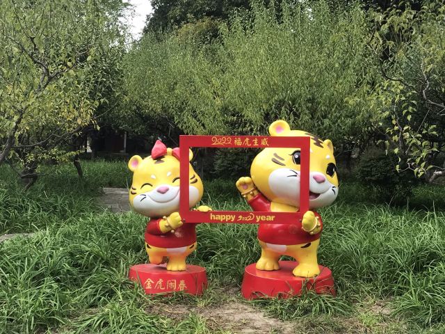 莘庄公园旅行图片 2