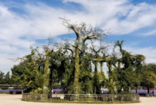 中药都药博园景点图片