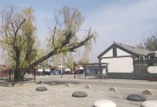 小辛码头村景点图片