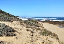 Cutlers Beach景点图片