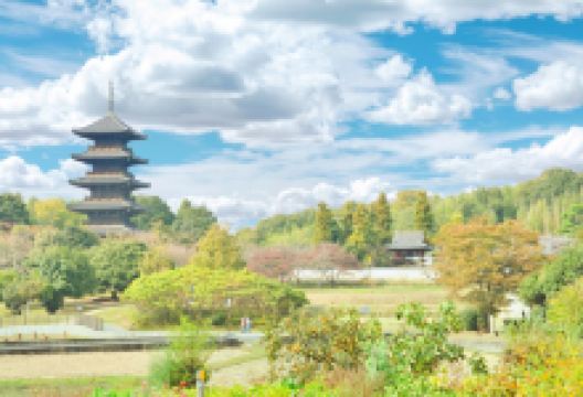 西大寺景点图片