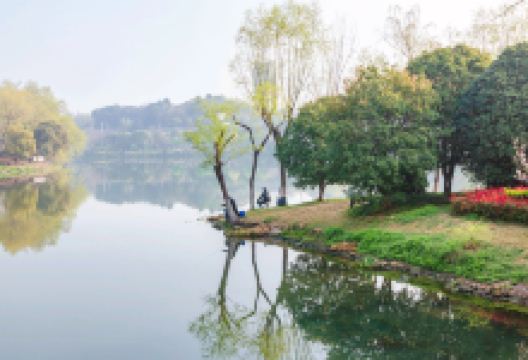 白鹭湾国家城市湿地公园景点图片