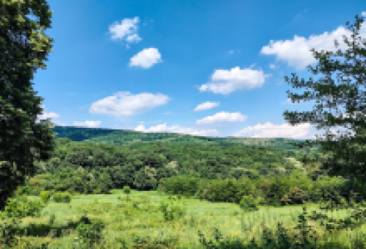 弗鲁什卡格拉国家公园景点图片