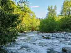 林恩峡谷公园-北温哥华