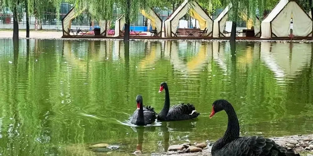 永安旅遊