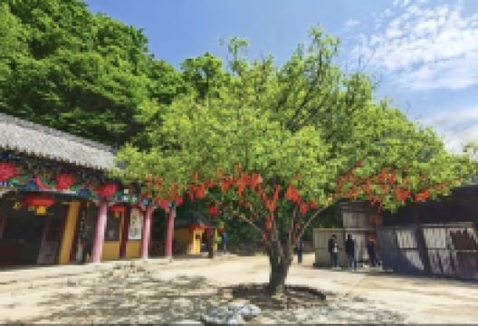 九鼎莲花山法云寺景点图片