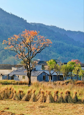 秋色绝美的10个古镇,累了就去小住几日