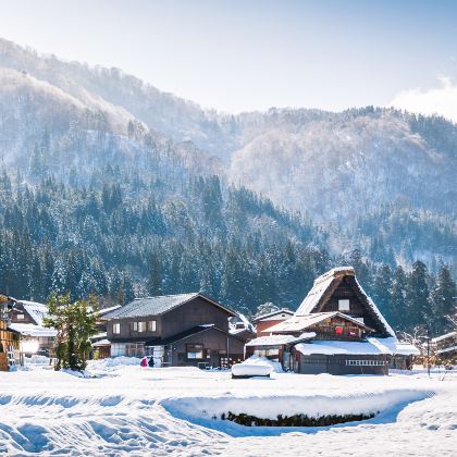 日本名古屋+下吕温泉+白川乡+飞驒高山+金泽6日5晚跟团游