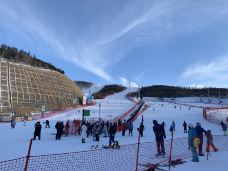 张家口-YoYo_3K1T6E1W