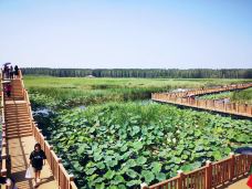 白洋淀风景区-雄县-有态度的拍拍