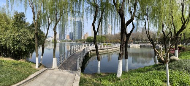 后襄河公园旅行图片 4