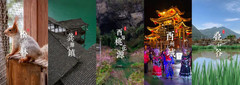酉阳桃花源度假区游记图片] 我和春天“酉”个约会，一起感受下酉阳的春季美景【图文、视频】