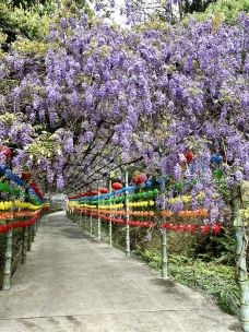 经律论文化旅游小镇-韶关-cattanjing
