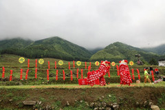 连山游记图片] 雨足郊原正得晴，地绵万里尽春耕-连山欧家梯田春耕节
