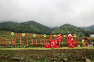 连山游记图文-雨足郊原正得晴，地绵万里尽春耕-连山欧家梯田春耕节