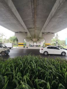 湛江海湾大桥-湛江-仔细仔细再仔细