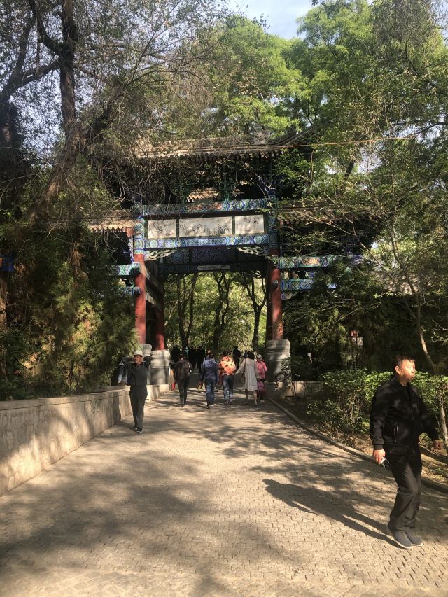 五泉山公园旅行图片 9