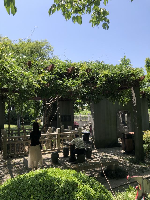 古藤园旅行图片 14