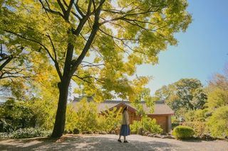 星河万里,不如藏在丽江绝美秋色里