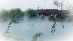 洽川镇游记图片] 所谓伊人，在水一方！最美洽川给你“好看”！