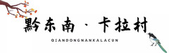 丹寨游记图片] 乡游黔中丨双手编织非遗之美，探访黔东南的“鸟笼之乡”