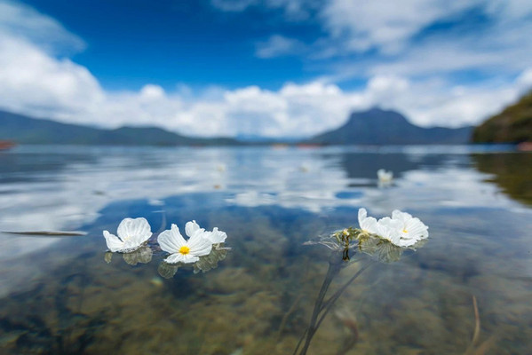 泸沽湖必吃✔️地道家常菜强烈推荐!