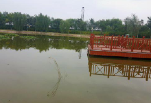油区植物园景点图片
