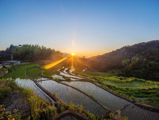 金榜乡村