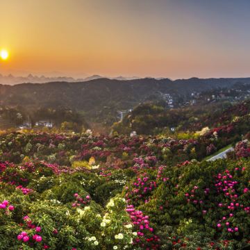 贵阳+黄果树景区+西江千户苗寨+荔波5日4晚跟团游