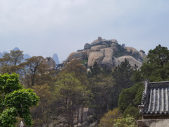 中国游记图片] 2021年春大兵绿草山东自驾游游记（11）——崂山