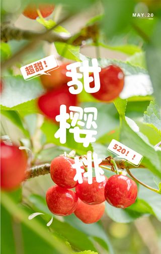 高甜来袭！阿坝州的“520”，超甜超上头！