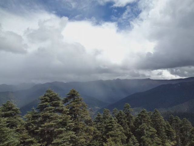 鲁朗林海风景区旅行图片 5