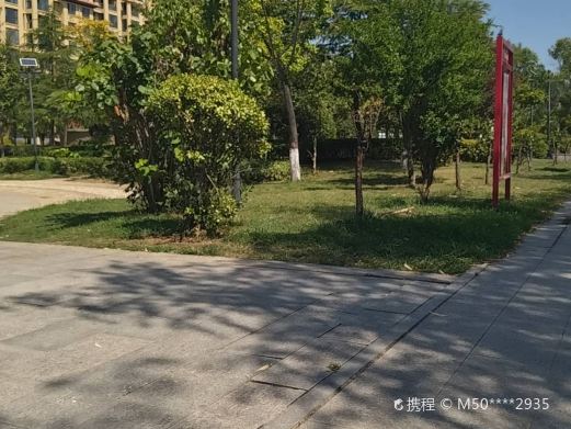 飞凤游园