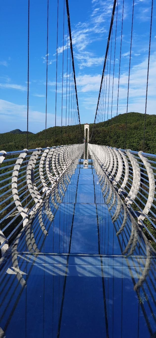 鸡冠山国家森林公园旅行图片 2