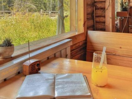 桃源风味餐厅餐厅图片