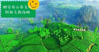 雅安名山茶文化探秘攻略