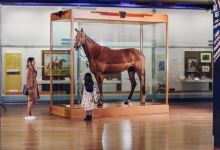 墨尔本博物馆景点图片