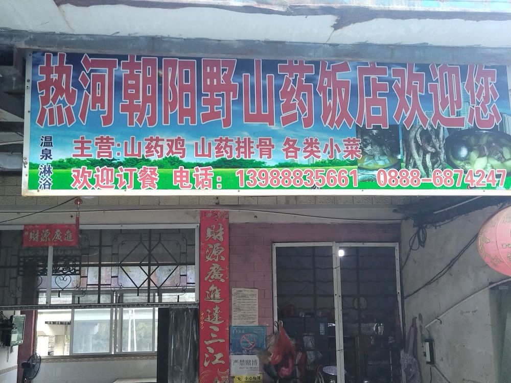 热河朝阳野山药饭店餐厅图片