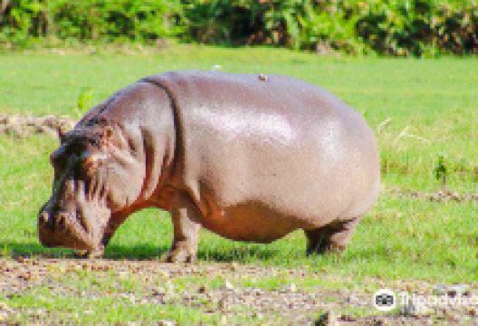 哈勒公园景点图片