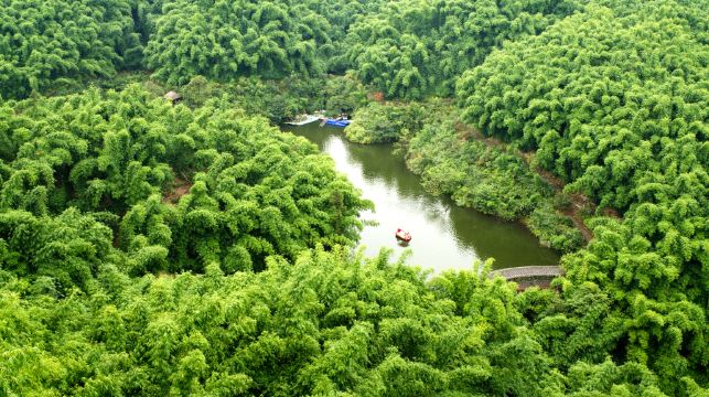 沐川竹海旅游景区