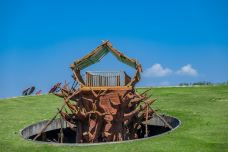 滨湖国家森林公园-合肥