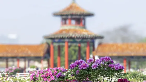 曹州百花園